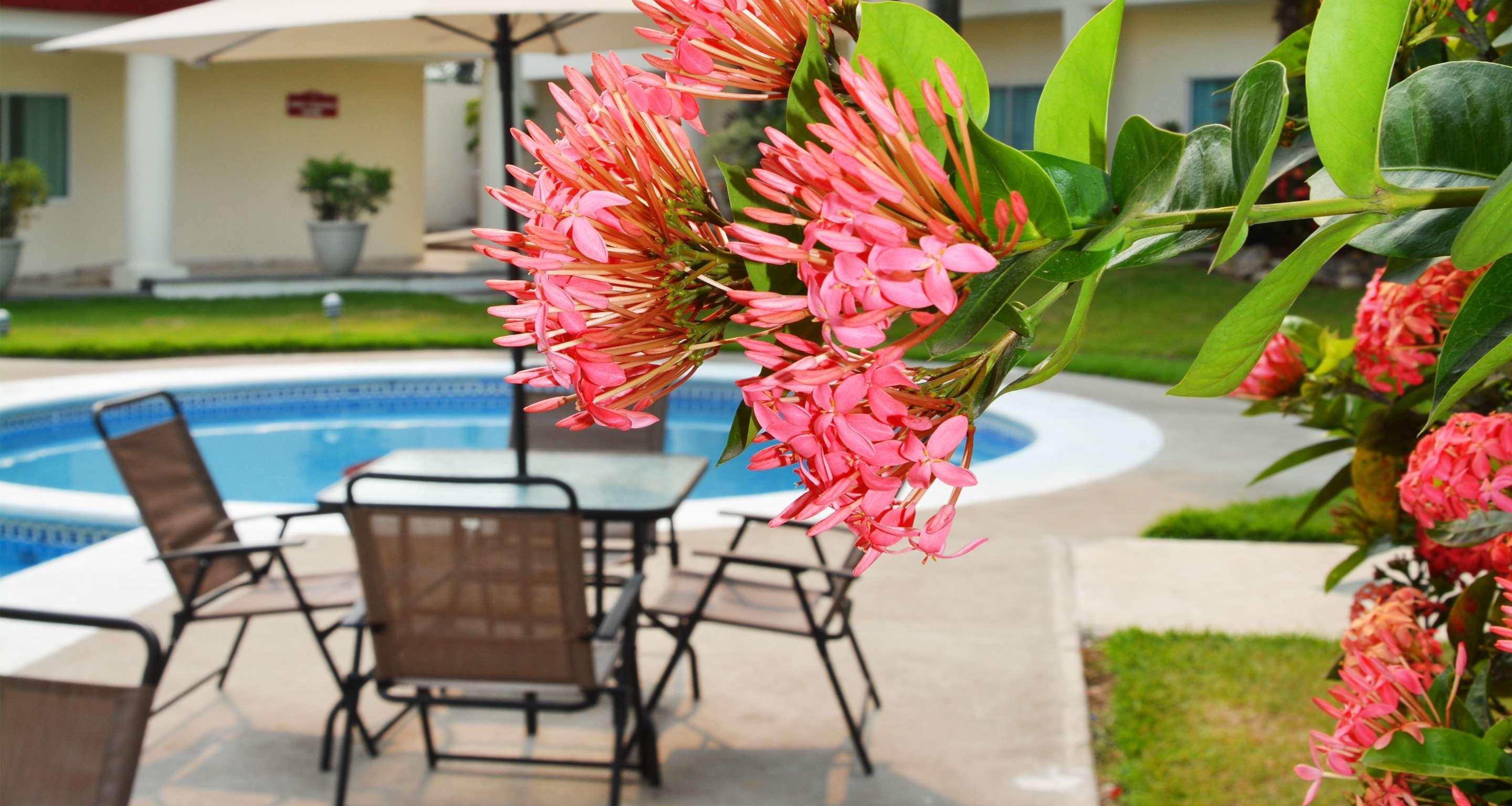 Gran Tuxtepec Plaza Hotel Luaran gambar